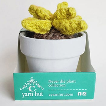 クロシェセスクラン(プラント) C Yarn Hut(シーヤーンハット)