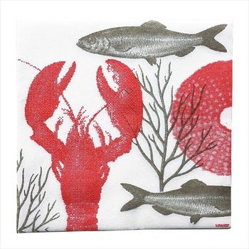 PAVIOTナプキン 40×40 PAVIOT(パビオ)
