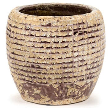 レプタイルポット SERAX(セラックス)