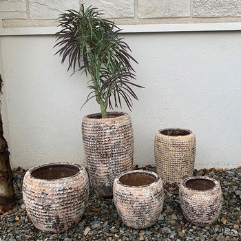 レプタイルポット SERAX(セラックス)