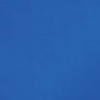 - �G�N�Z�� No.350 �J���[�P�[�v �ە����� 18611855