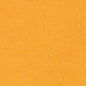 - �G�N�Z�� No.350 �J���[�P�[�v �ە����� 18611864