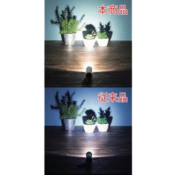 LED9灯カラビナ付ライト スムース MARKLESS STYLE
