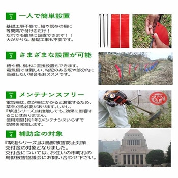 撃退シリーズ クマ5個入 - タマハシ