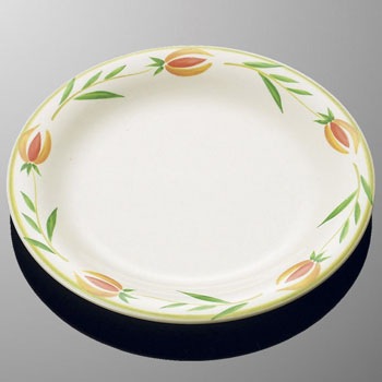 E91EP �G�X�p�[�j�� �~�[�g�M �}���P�C(���ۉ��H) �ێM �m�H�� 18651334