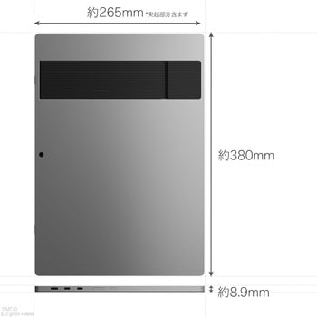 17インチ モバイルモニター(2560x1600/IPS/アンチグレア/TypeCx2/miniHDMI/オートピボット/スピーカー/縦横表示対応スタンド/3年保証) LG