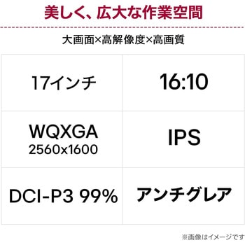 17インチ モバイルモニター(2560x1600/IPS/アンチグレア/TypeCx2/miniHDMI/オートピボット/スピーカー/縦横表示対応スタンド/3年保証) LG