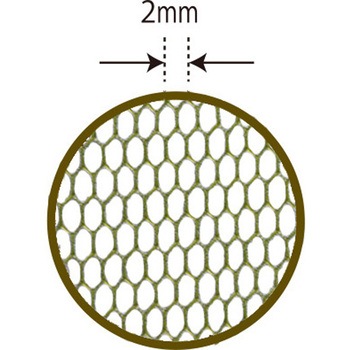 オリーブあゆ 36cm 昌栄
