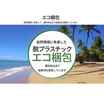 液晶ディスプレイ 27型/1920×1080/HDMI×1、DP×1、USB Type-C×1/ブラック/スピーカー有/昇降スタンド/65W給電/5年保証/エコ梱包 JAPANNEXT