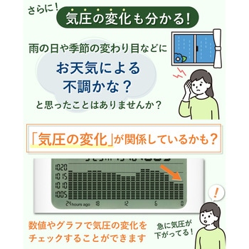 グラフ付きデジタル温湿度計TT-594IV タニタ