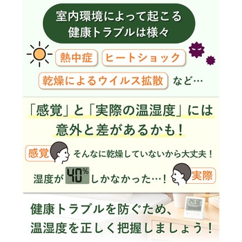 グラフ付きデジタル温湿度計TT-594IV タニタ