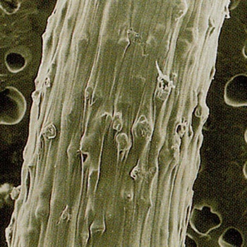 シリコン砥粒入りナイロン ドットブラシ Pタイプ 高島産業
