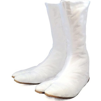 WF12SPV NbVV 12 () ͉  TCY28cm 18764421