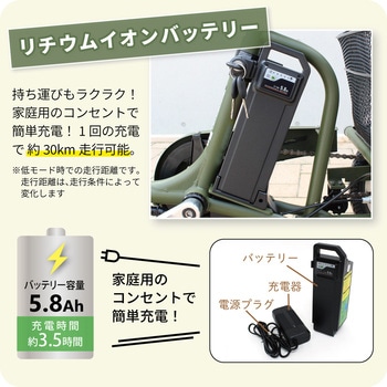 E-PARTON PLUS (イーパートンプラス) ノーパンク ロータイプ電動アシスト三輪自転車 ミムゴ