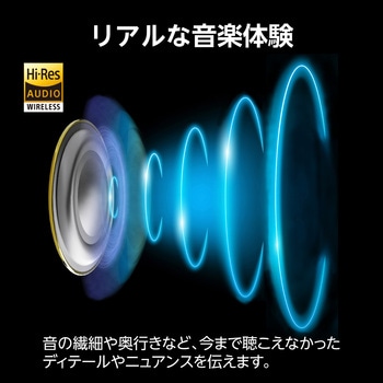 ワイヤレスイヤホン Bluetooth 5.2 ハイレゾ LDAC対応 アクティブ ノイズキャンセリング 耳せん機能 エレコム