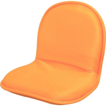 ZC-1 �t���A�`�F�A �A�C���X�I�[���} 19997258