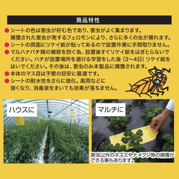 吊るしてGET虫ミニ 強力タイプ 平城商事