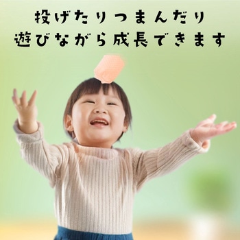 お手玉5色組 アーテック[学校教材・教育玩具]