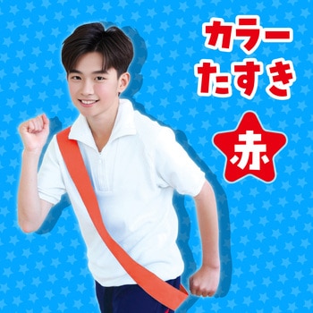 カラーたすき アーテック[学校教材・教育玩具]