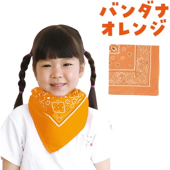 バンダナ アーテック(学校教材・教育玩具)