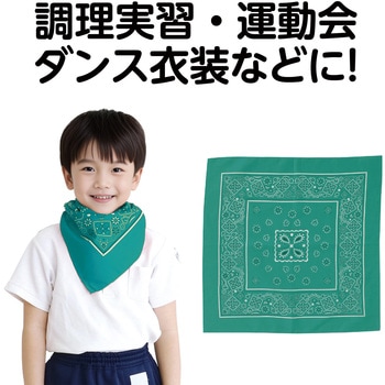 バンダナ アーテック[学校教材・教育玩具]