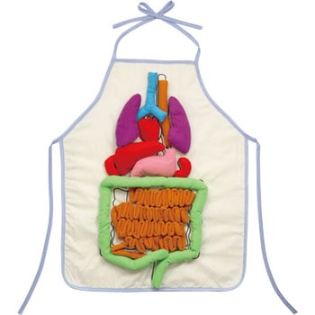 933 内臓の大きさ説明エプロン 1セット 4個 アーテック 学校教材 教育玩具 通販サイトmonotaro