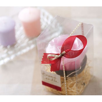 ピュアケースPN 大森