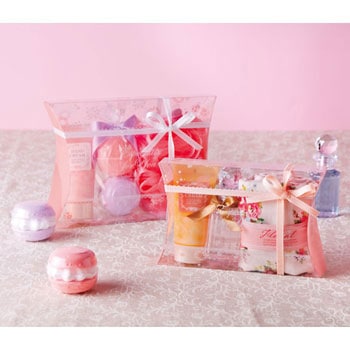 エアロケース 大森