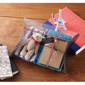 エアロケース 大森