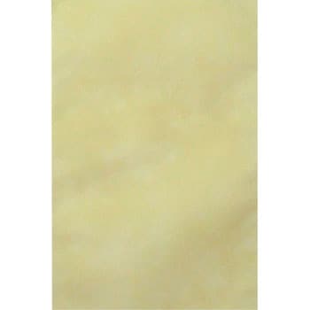 ソフトバッグベーシックS1薄 エーワン(不織布)