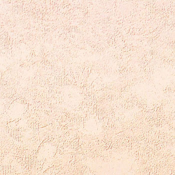 KN-4 �ȒP�X�[�p�[���̂�J�x�� �A�T�q�y�� 18859882