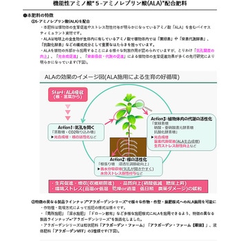 アラガーデンVFF 清和肥料工業