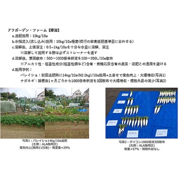 アラガーデンファーム即溶 清和肥料工業