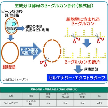 セルエナジー 清和肥料工業