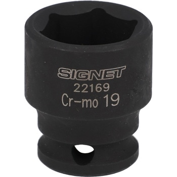 22169 CpNg \Pbg SIGNET(VOlbg) p(sq.)3/8 ʕ19mm@19mm 18893148