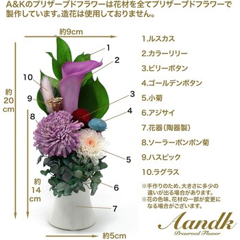 悠 Yuu 花器付き A&K