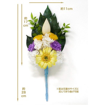 蓮華 Renka 花器なし A&K
