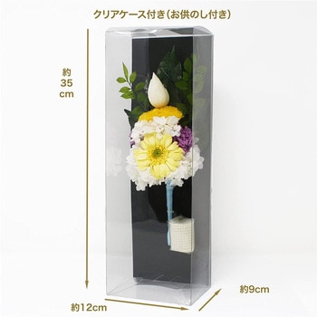 蓮華 Renka 花器なし A&K