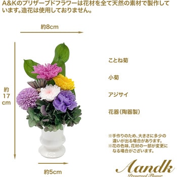 MKP-021 紫苑 A&K