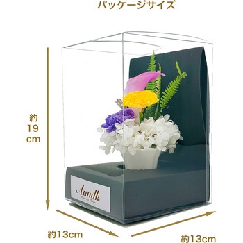 MKP-025 しのぶ A&K