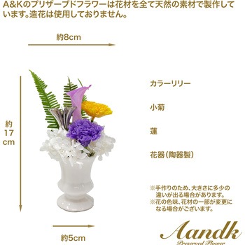MKP-025 しのぶ A&K