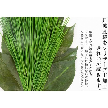 MK-129 ミニS荒神松 角榊立て鳥居付きセット A&K