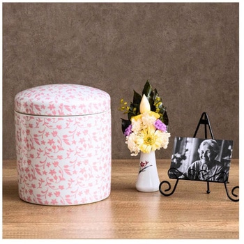 ラーレ ホワイトピンク6寸 - フィットポスト