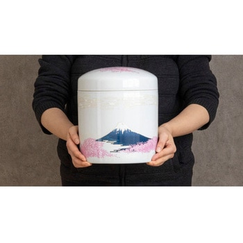 白富士桜7寸 - フィットポスト