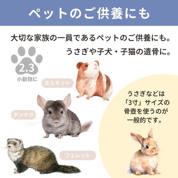 カメオブルー2.3寸 フィットポスト