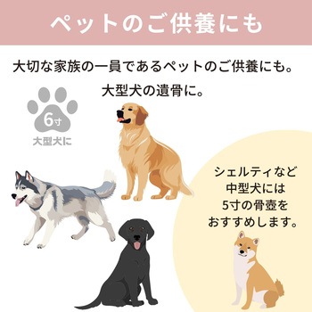 カメオブルー6寸 フィットポスト