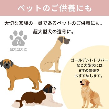 カメオブルー7寸 フィットポスト