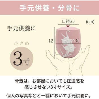カメオピンク3寸 フィットポスト
