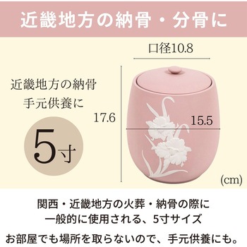 カメオピンク5寸 フィットポスト