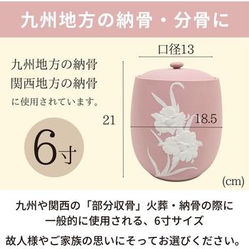 カメオピンク6寸 フィットポスト